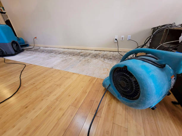 Professional Flood Damage Cleanup technician working in Waterloo, NE
